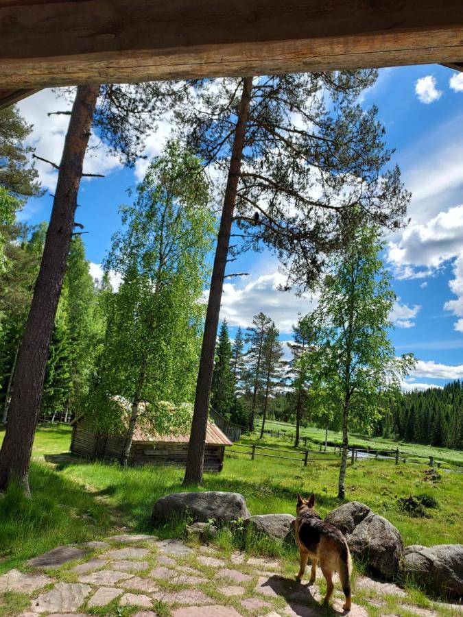 YttermalungThe Old Logging Camp别墅 外观 照片