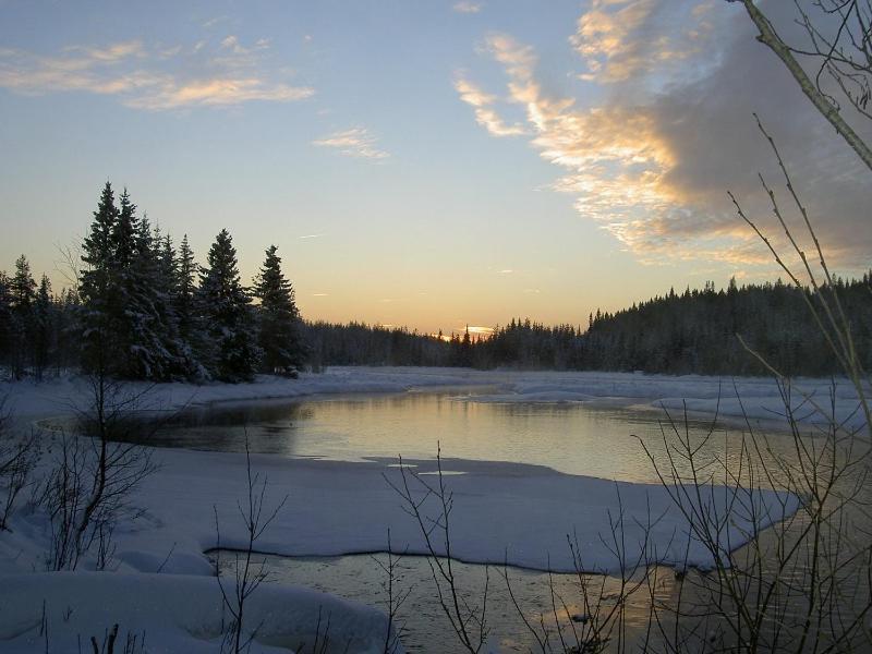 YttermalungThe Old Logging Camp别墅 外观 照片