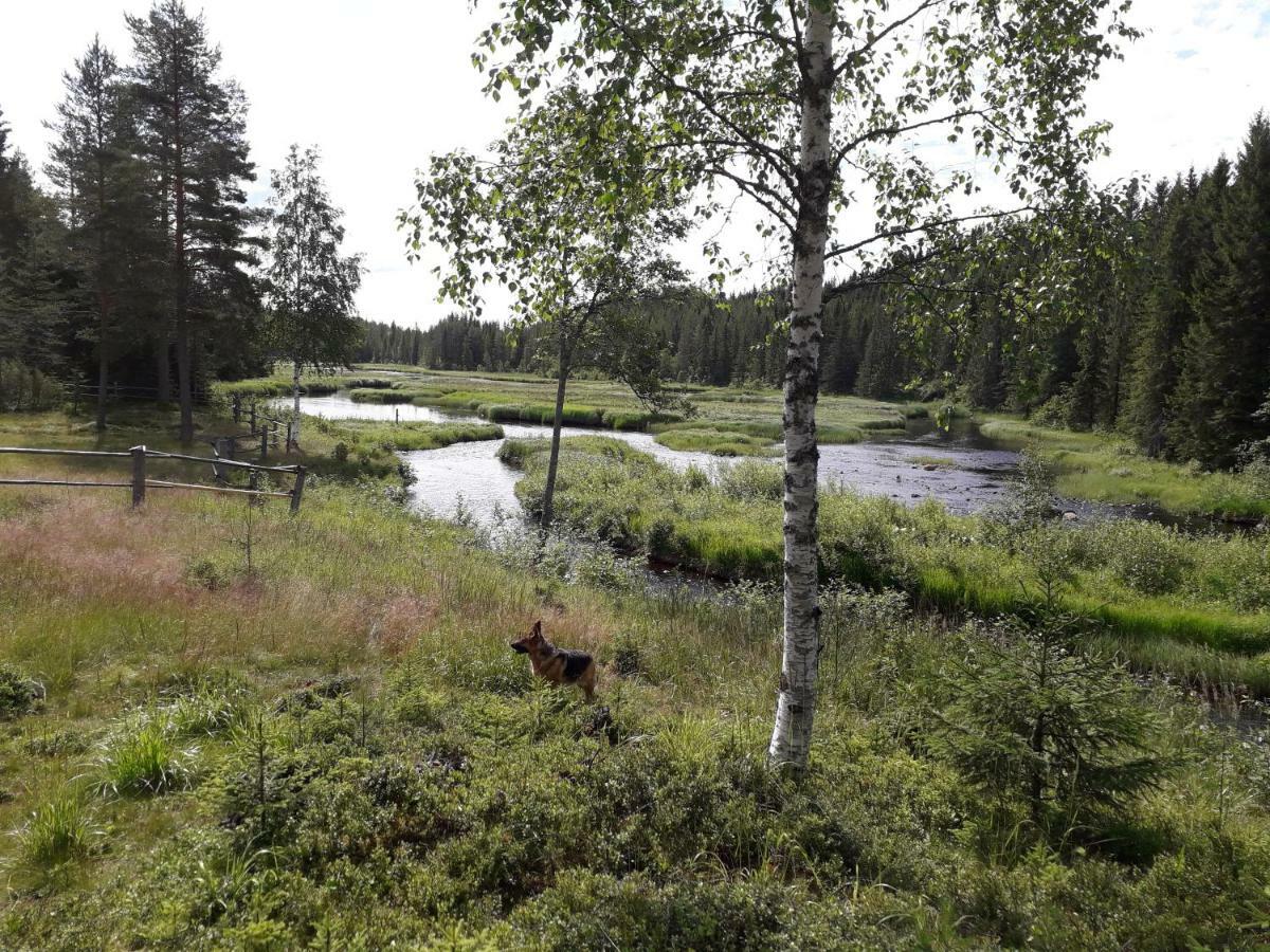 YttermalungThe Old Logging Camp别墅 外观 照片