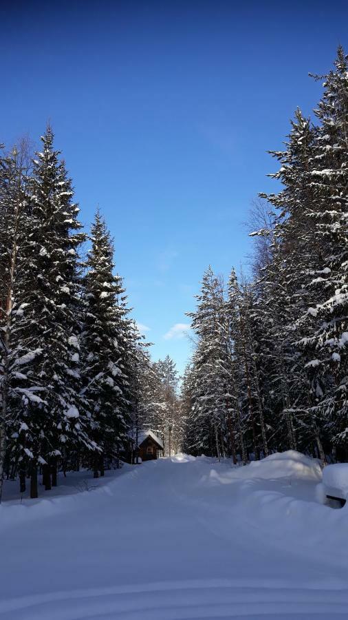 YttermalungThe Old Logging Camp别墅 外观 照片